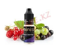 Forest Berries жидкость Mini Salt